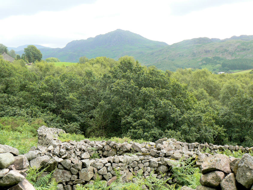Harter Fell Harter Fell